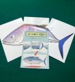 Fishy Fish by Shoji (Instruction Video only)